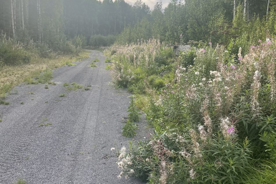 земля городской округ Ревда, посёлок Ледянка фото 1