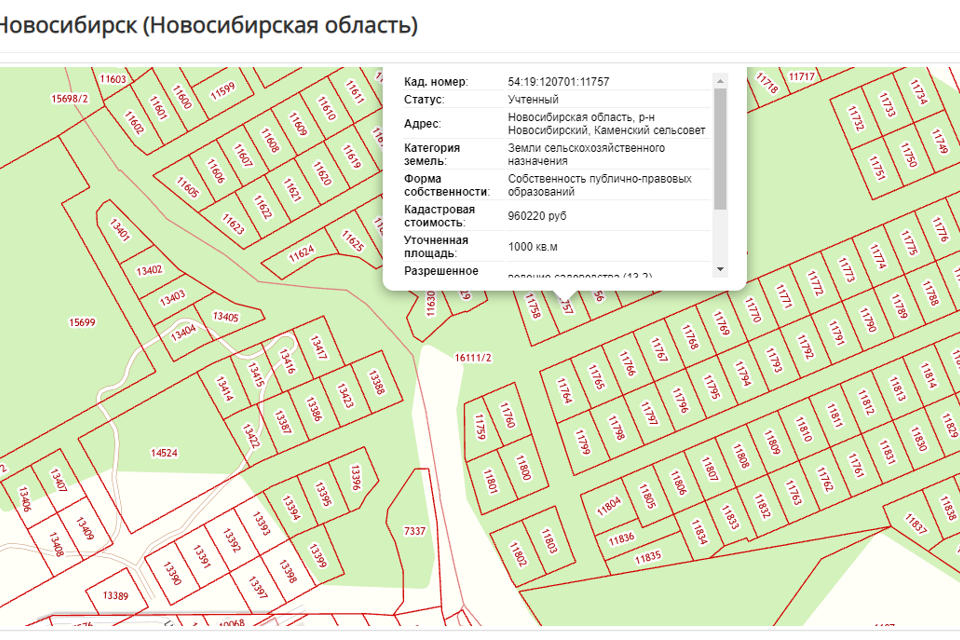 земля р-н Новосибирский эко-посёлок Скандинавия фото 4