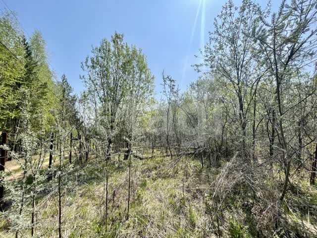 дом Добрянский городской округ, садовые участки Канал, Ромашковая улица фото 4