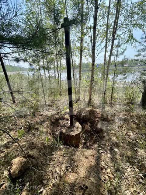 дом Добрянский городской округ, садовые участки Канал, Ромашковая улица фото 4