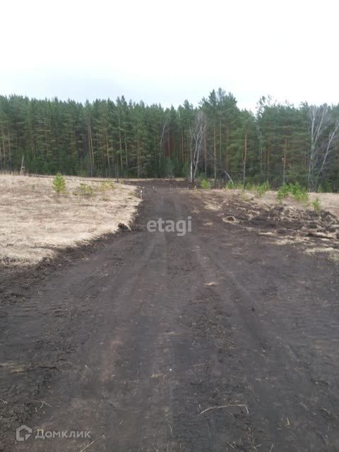 земля городской округ Дивногорск, посёлок Манский фото 7