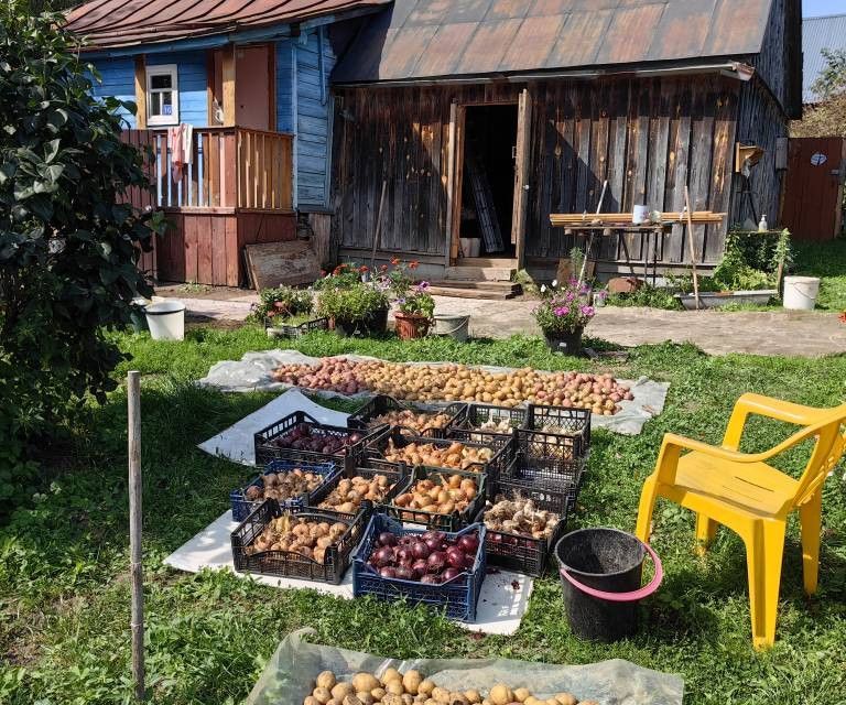 дом р-н Суздальский село Цибеево фото 8