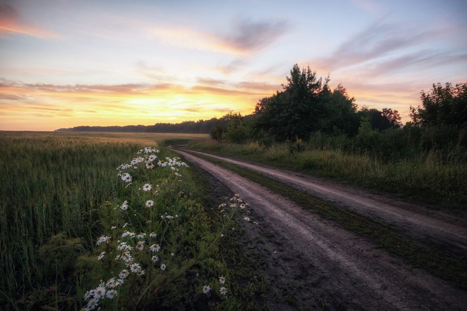 земля Верхнеказаченский сельсовет, село Нижнее Казачье фото 6