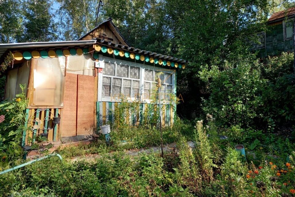 дом р-н Новосибирский село Гусиный Брод фото 9