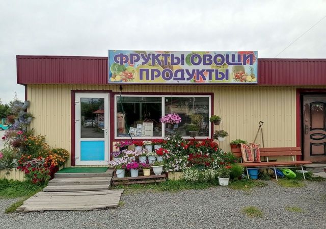 торговое помещение дом 1а Елизовское городское поселение фото