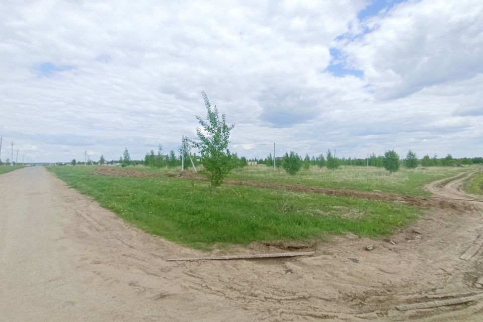 земля городской округ Йошкар-Ола, деревня Шоя-Кузнецово фото 2