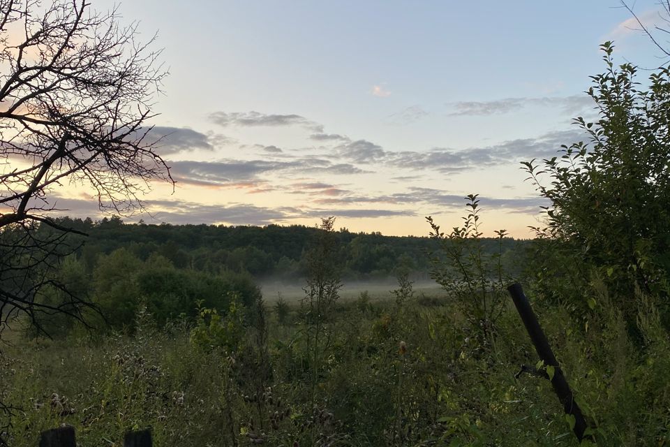 земля г Благовещенск СТ Зея, городской округ Благовещенск фото 3