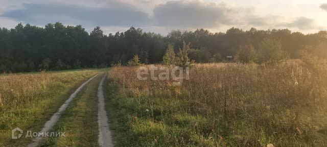 земля р-н Хлевенский село Манино фото 2