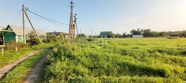 земля р-н Хлевенский с Курино ул Энергетиков фото 5