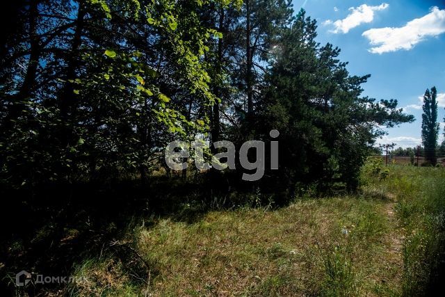 земля р-н Рамонский д Богданово ул Лесная фото 6