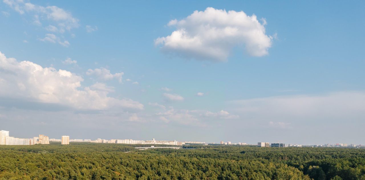 квартира г Москва п Московский метро Говорово № 3 кв-л, Движение. Говорово жилой комплекс фото 17