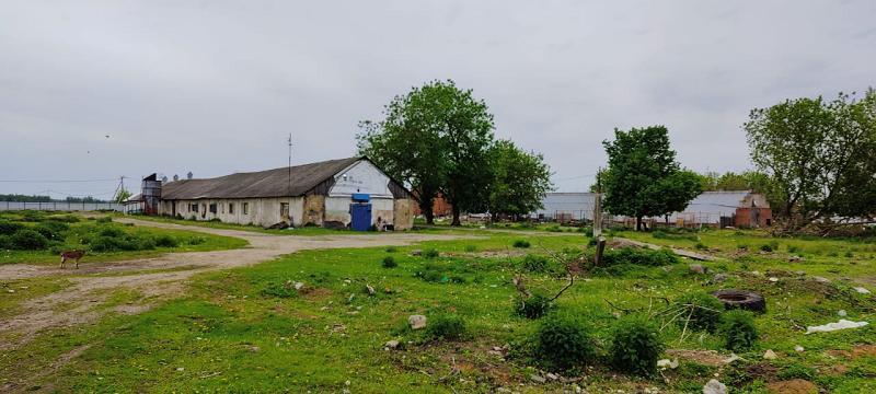 производственные, складские городской округ Орехово-Зуевский г Ликино-Дулёво Курская фото 4