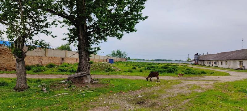 производственные, складские городской округ Орехово-Зуевский г Ликино-Дулёво Курская фото 5