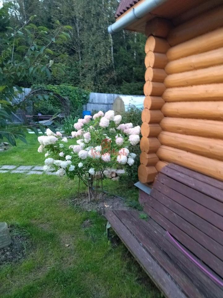 дом городской округ Сергиево-Посадский рп Скоропусковский пгт Производственная Зона тер., 39 фото 23