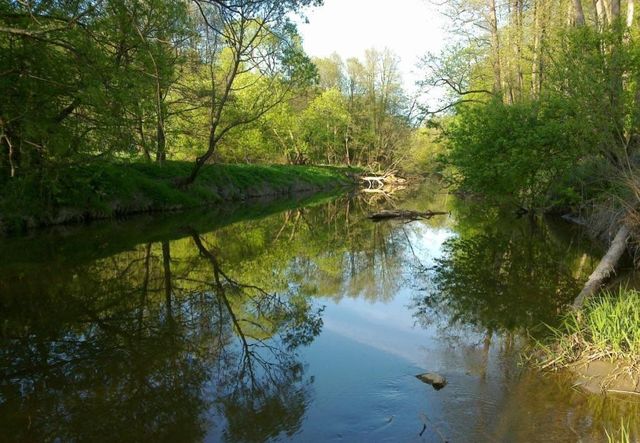 земля сельское поселение Красный Городок, Калуга фото