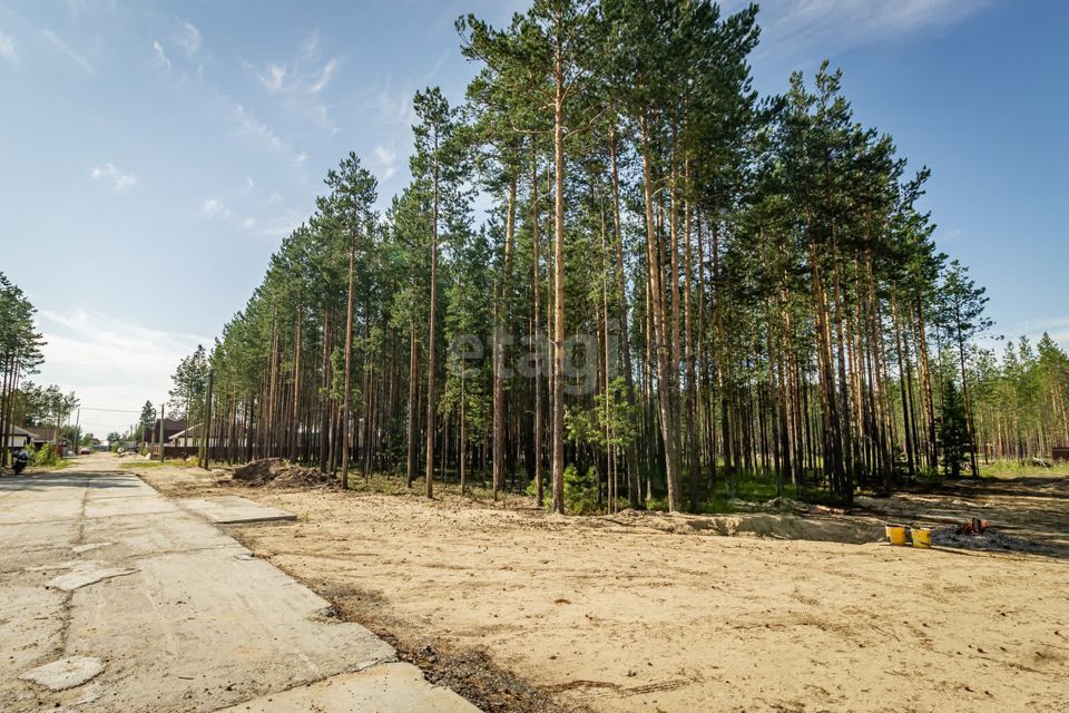 земля г Сургут городской округ Сургут, ДНТ Алтай фото 2