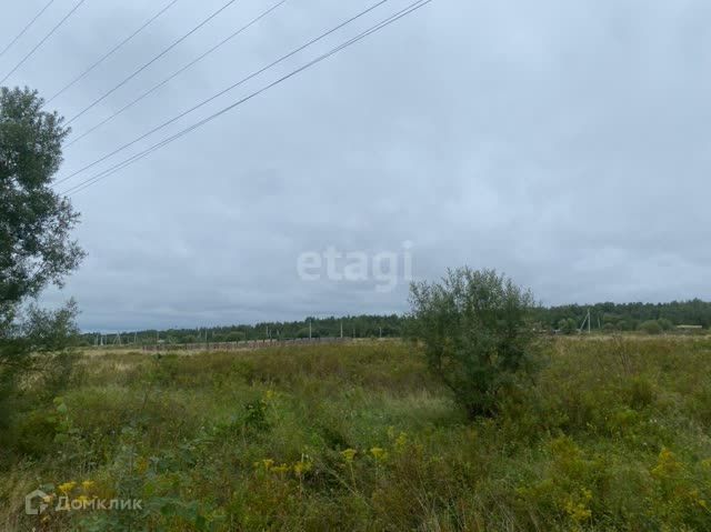 земля село Восточное фото