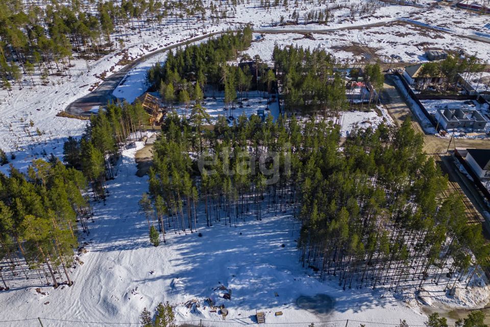 земля г Сургут городской округ Сургут, ДНТ Алтай фото 7