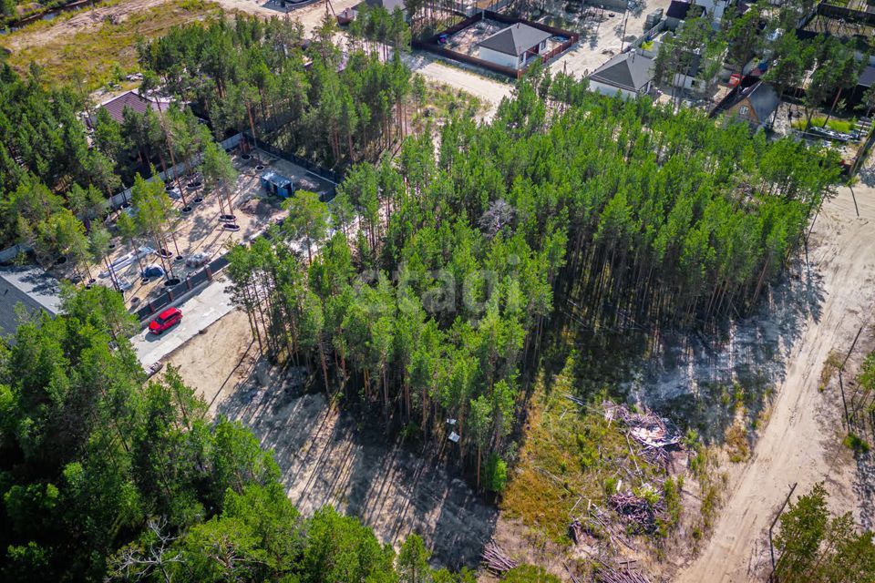 земля г Сургут городской округ Сургут, ДНТ Алтай фото 10