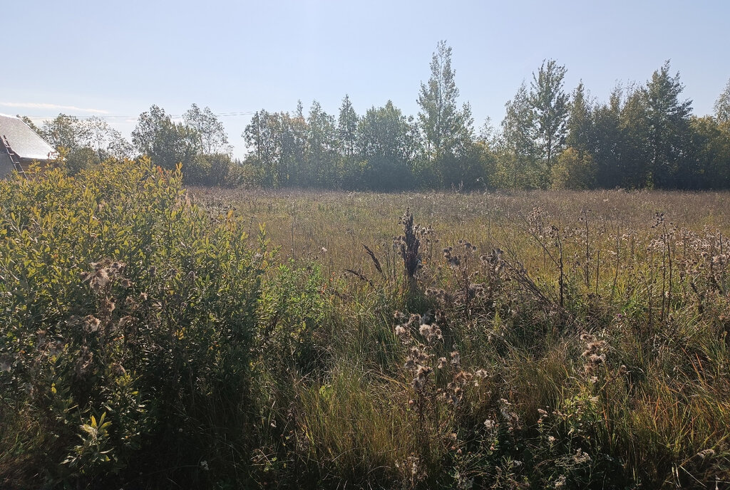 земля р-н Новгородский д Желкун Ракомское сельское поселение фото 4