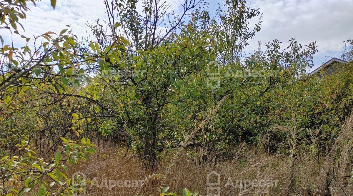 земля г Волгоград снт Родничок ул Цветочная Городищенское городское поселение фото 8