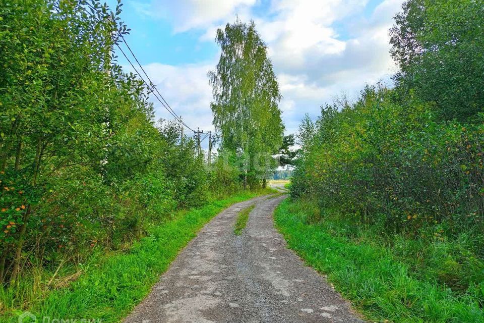 земля городской округ Коломна, село Мячково фото 1