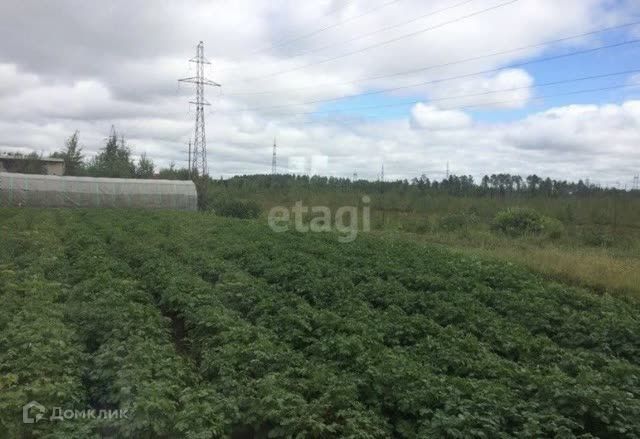 дом г Нижневартовск садово-огородническое некоммерческое товарищество Калина, городской округ Нижневартовск фото 4