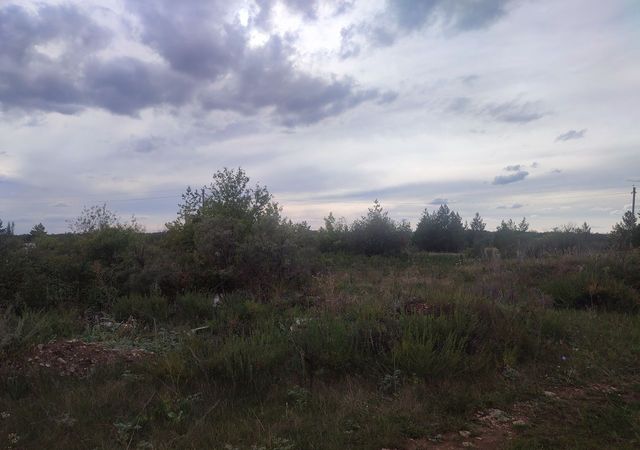 Новокашировское сельское поселение, садоводческое некоммерческое товарищество Алнас фото
