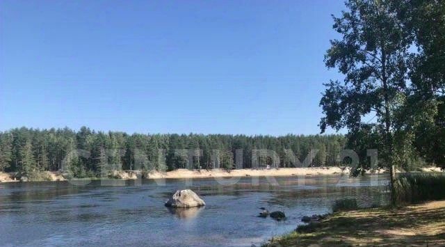 офис р-н Выборгский п Барышево ул Центральная Гончаровское с/пос фото 3