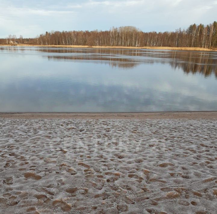 офис р-н Выборгский п Барышево ул Центральная Гончаровское с/пос фото 20