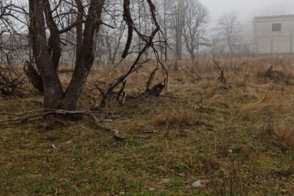 земля городской округ Владикавказ, поселок Редант 1-й фото 1