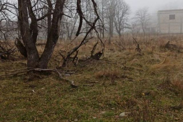 городской округ Владикавказ, поселок Редант 1-й фото