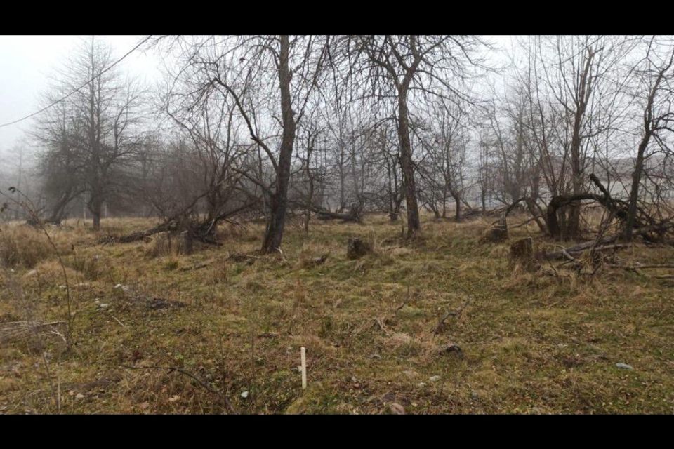 земля городской округ Владикавказ, поселок Редант 1-й фото 3