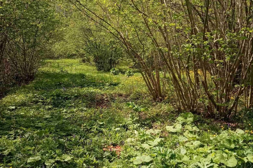 дом р-н Апшеронский х Старый Куринский ул Туапсинская 3 фото 8