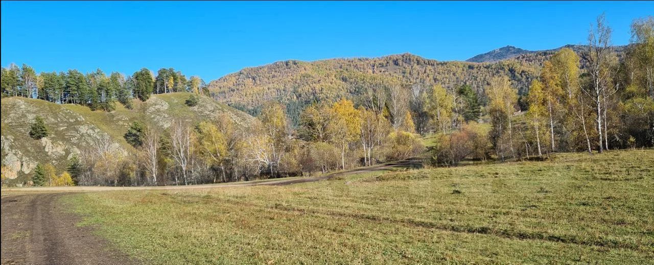 земля р-н Чемальский с Бешпельтир Горно-Алтайск фото 4