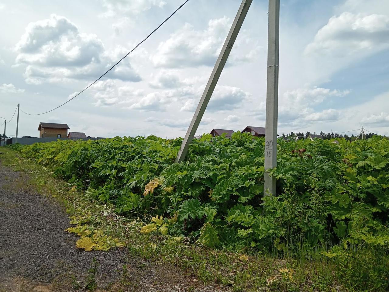 земля городской округ Клин д Соголево фото 1