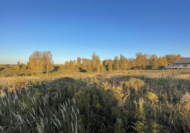 Отрадненское сельское поселение, мкр-н Опушкино, Брянск фото