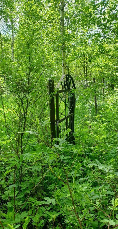 земля городской округ Волоколамский д Житино Волоколамск фото 5