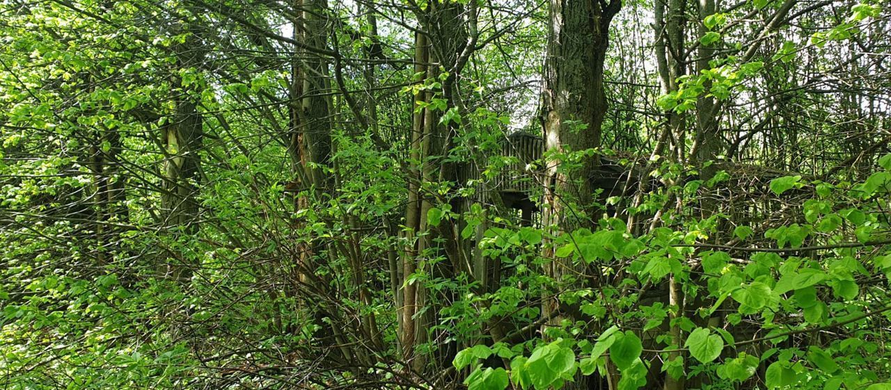 земля городской округ Волоколамский д Житино Волоколамск фото 6