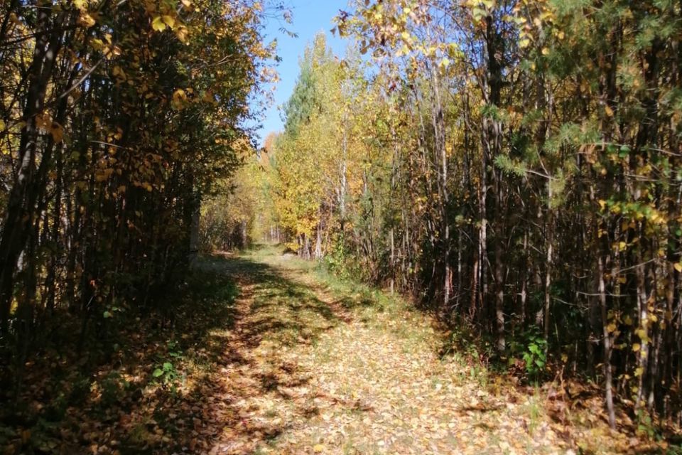 земля городской округ Ревда, СНТ Клубничка фото 1