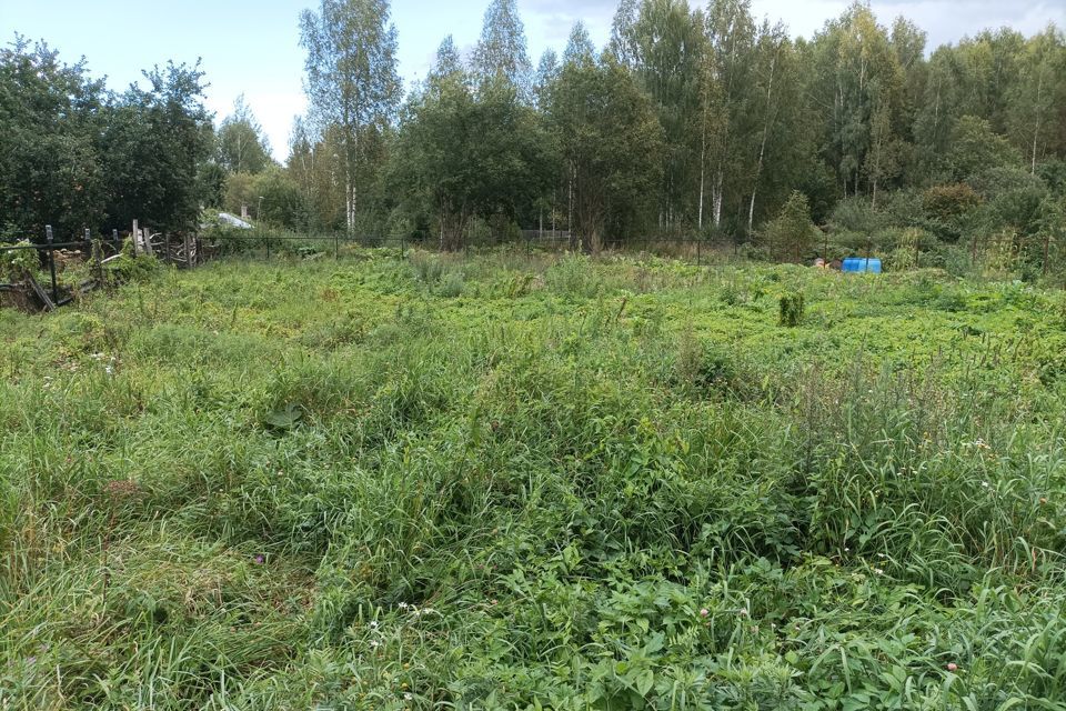 земля р-н Конаковский деревня Коровино Дмитровогорское сельское поселение фото 2