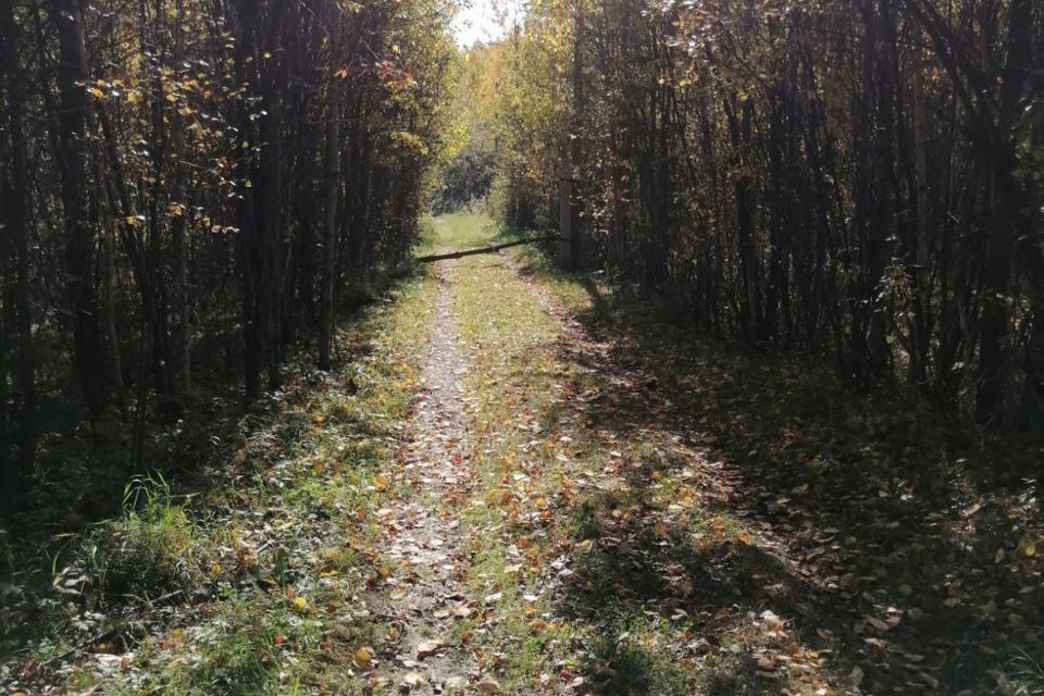 земля городской округ Ревда, СНТ Клубничка фото 2