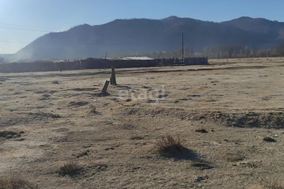 земля р-н Онгудайский село Каракол фото 2