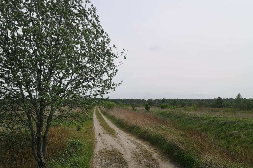 земля Светловский городской округ, посёлок Волочаевское фото 3