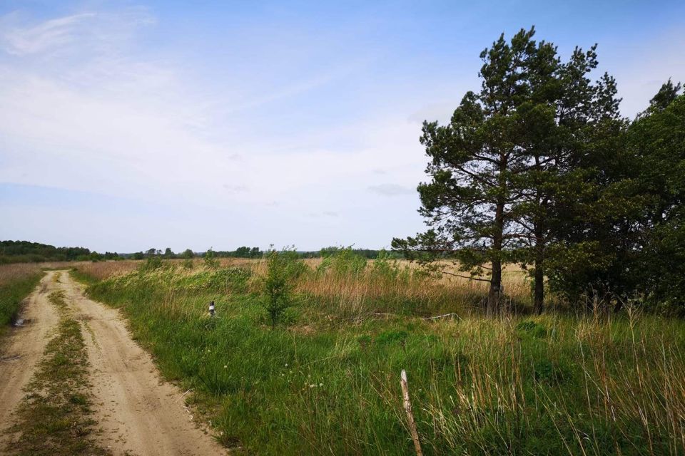 земля Светловский городской округ, посёлок Волочаевское фото 2