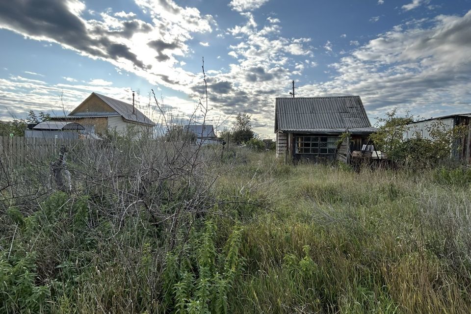 земля р-н Кетовский СНТ коллективного сада Синтез-2 фото 4