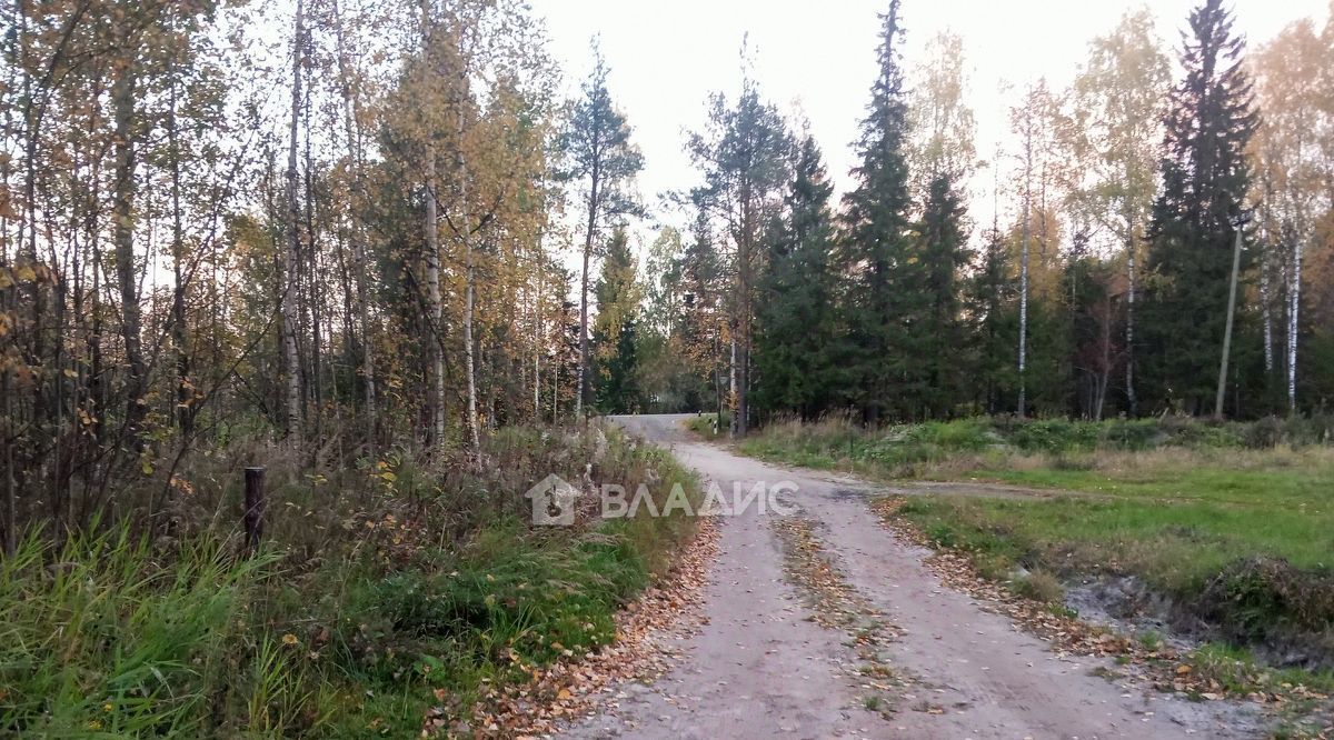 земля р-н Корткеросский п Визябож муниципальное образование, Додзь фото 9