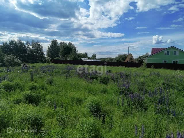 земля городской округ Бор, деревня Филипповское фото 2