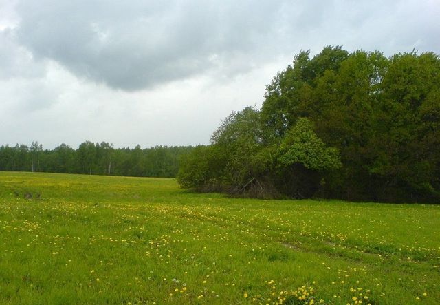земля сельское поселение Ярополецкое, Волоколамск фото