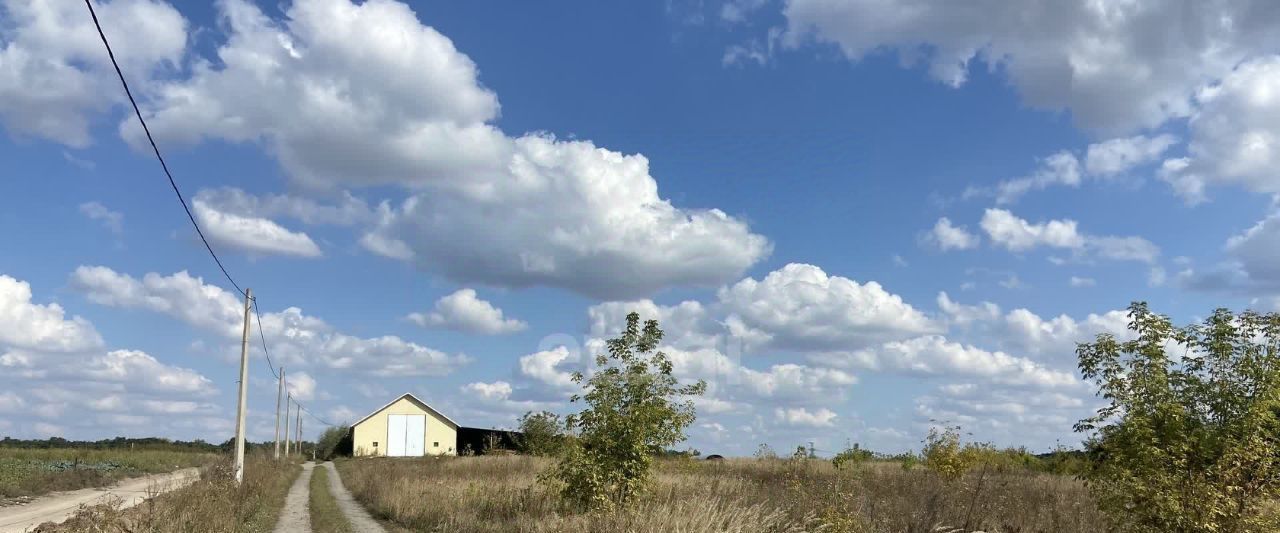 свободного назначения р-н Белгородский с Нижний Ольшанец ул Луговая 1 городское поселение, Поселок Разумное фото 5